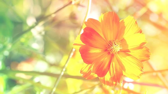 7寸平板电脑品牌