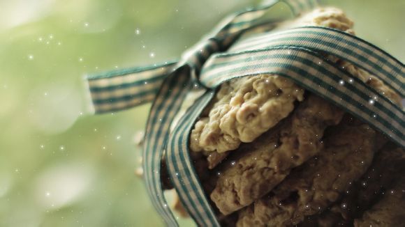 新西兰奥克兰homestay