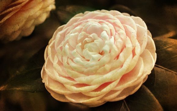 郑州到上海机票价格表