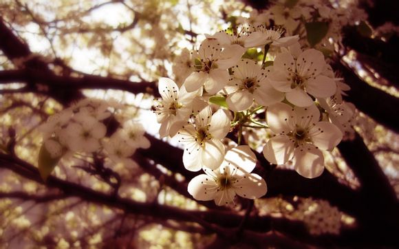 济南旅游景点大全介绍