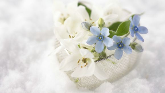 重庆欢乐谷水上乐园