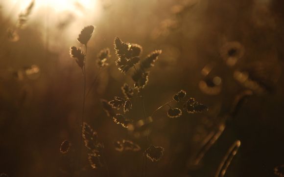 碎花壁纸卧室温馨