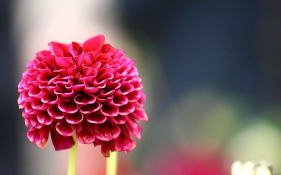 2010冬奥会是第几届