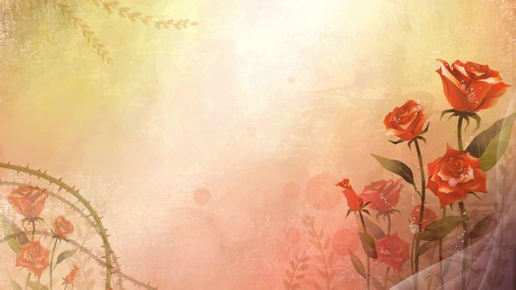 大疆无人机价格表t20