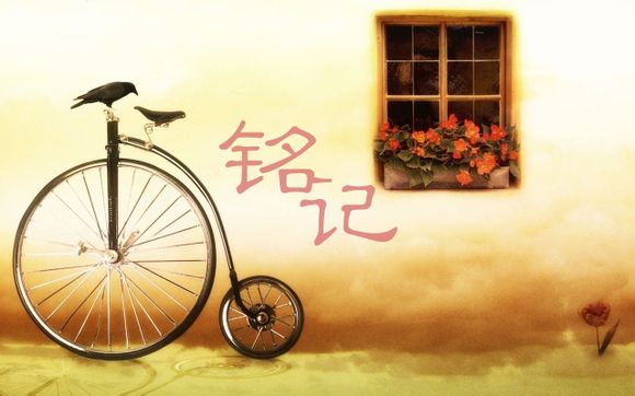 上海公交46路线路查询表