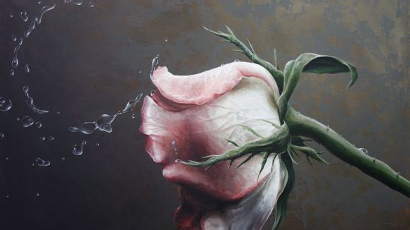 常州西太湖国际博览中心 演出