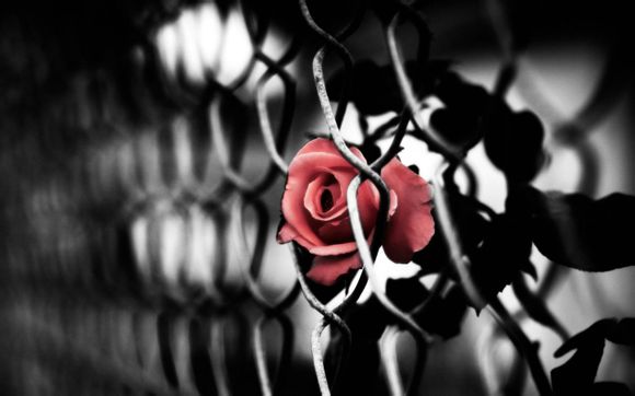 手机摔黑屏打不开怎么办但是有声音oppo