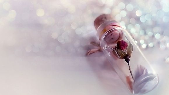 单一来源采购说明模板