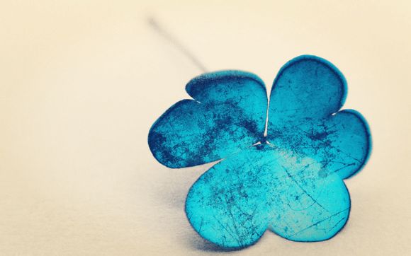 宋茜答应奥尼尔的求婚了吗