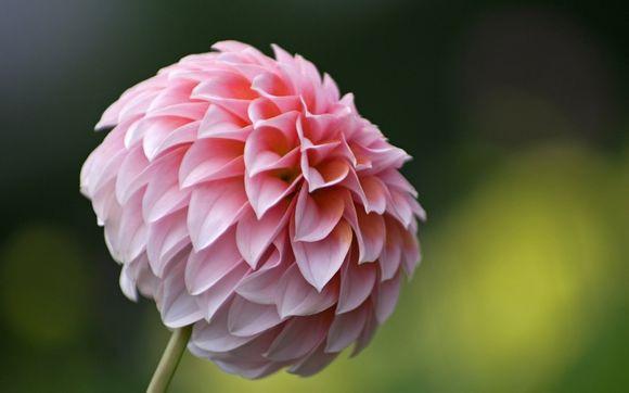 南京江苏旅游攻略