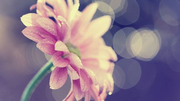 广州到北京高铁多少钱