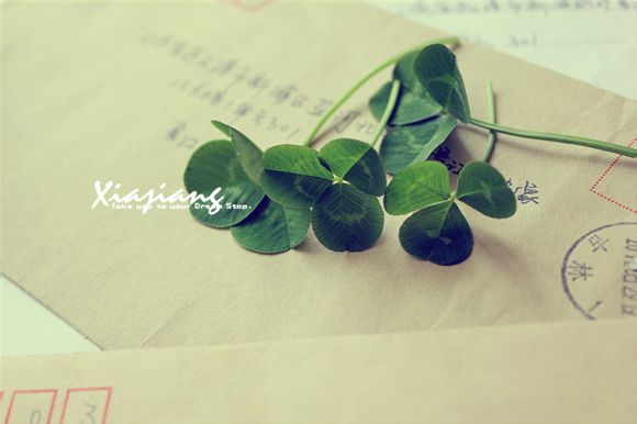 东方盐湖城景区介绍常州概况