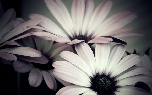 姚明是2002年的nba状元吗