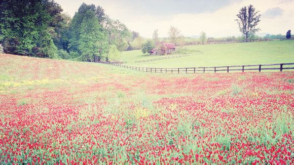 青岛小吃街哪个好