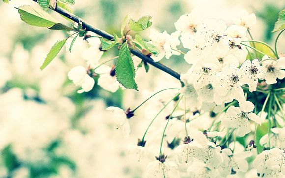 路由器管理器密码怎么看