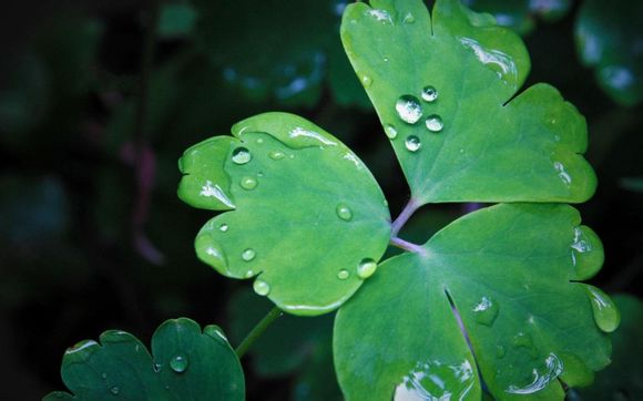 2020浙江中秋晚会节目单