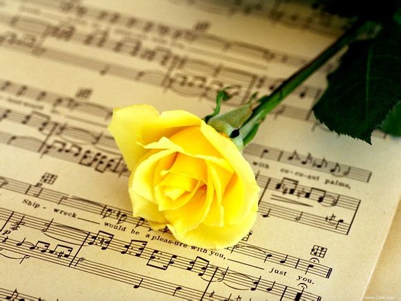 天津市705路公交车路线