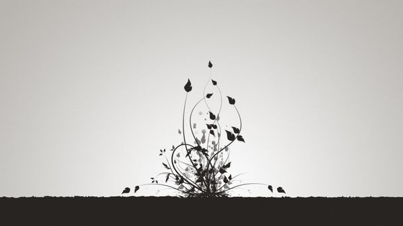 时空智友医药管理软件