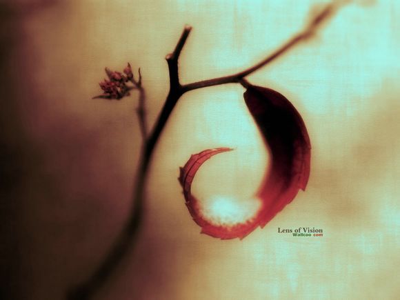 郑州到青岛飞机票查询