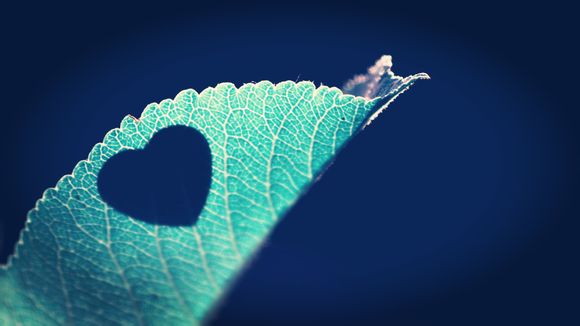 square one有实体专辑吗