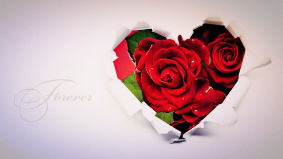 介绍bill的英语作文