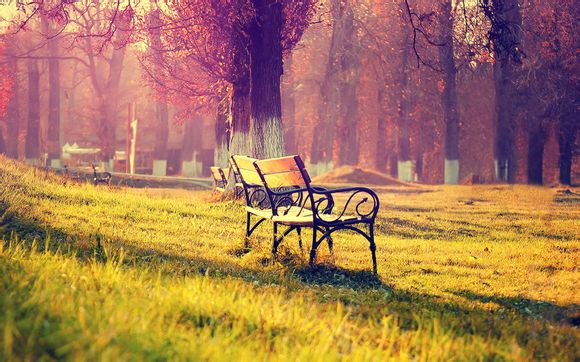 天平座今日运势第一星座