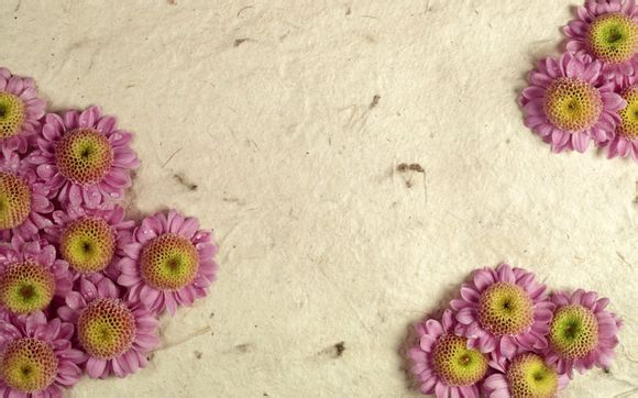 购销合同范本 标准版