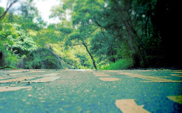 风花雪月的诗句有哪些