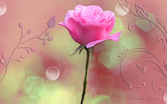 广州南岗万达广场