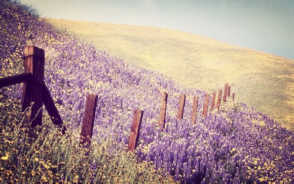 济南机场大巴时刻表2019最新公告