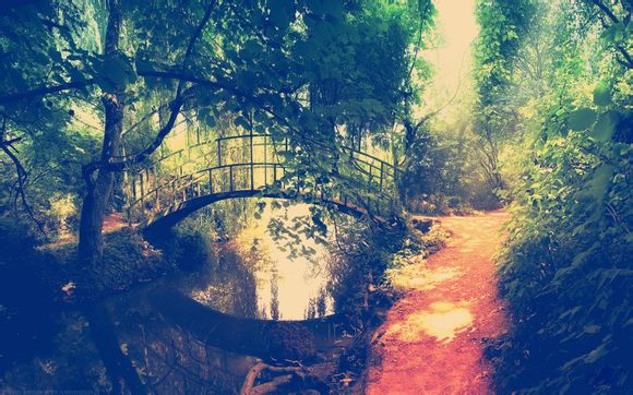 陕西历史博物馆预约提交中是什么意思