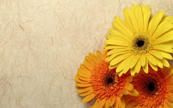 电脑虚拟摄像头软件免费版